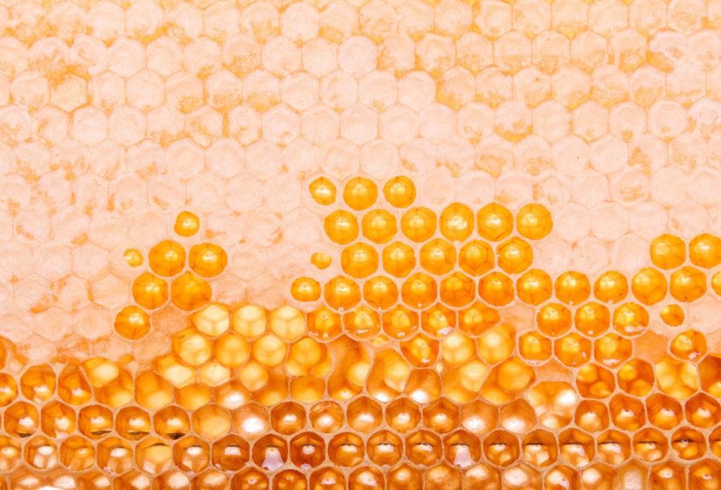 液體黃金：麥盧卡蜂蜜在護膚品中的好處